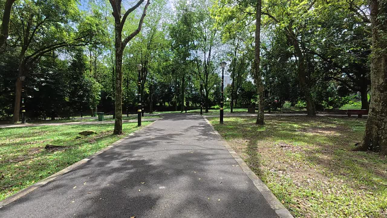 Strolling along a shaded tropical garden path. Tall trees provide a lush canopy. The weather is bright and hot.