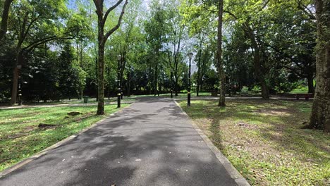 strolling along a shaded tropical garden path. tall trees provide a lush canopy. the weather is bright and hot.