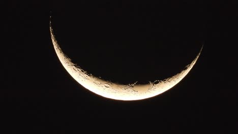 beautiful  close up moon