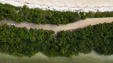 Alta-Vista-Aérea-De-La-Selva-Tropical-En-Medio-De-La-Costa-Y-La-Laguna