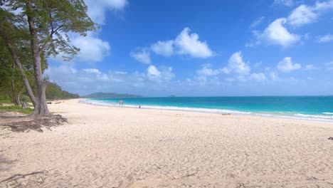 paradise beaches with white sand and crystal blue sea at hawaiian island oahu