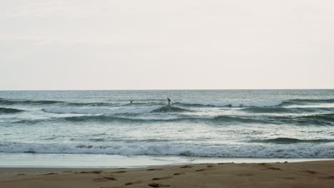 surfer on a wave at the beach