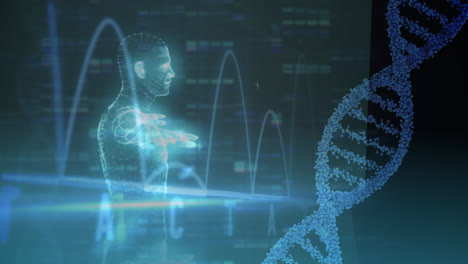 animación holográfica de hombre con adn y latidos cardíacos