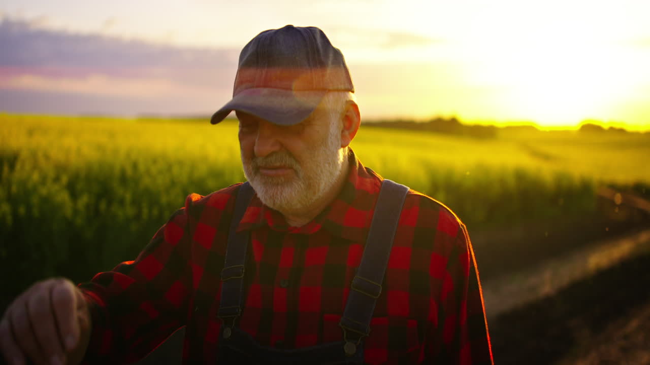 Tankefuld ældre landmand tager kasket på på gylden mark ved solnedgang