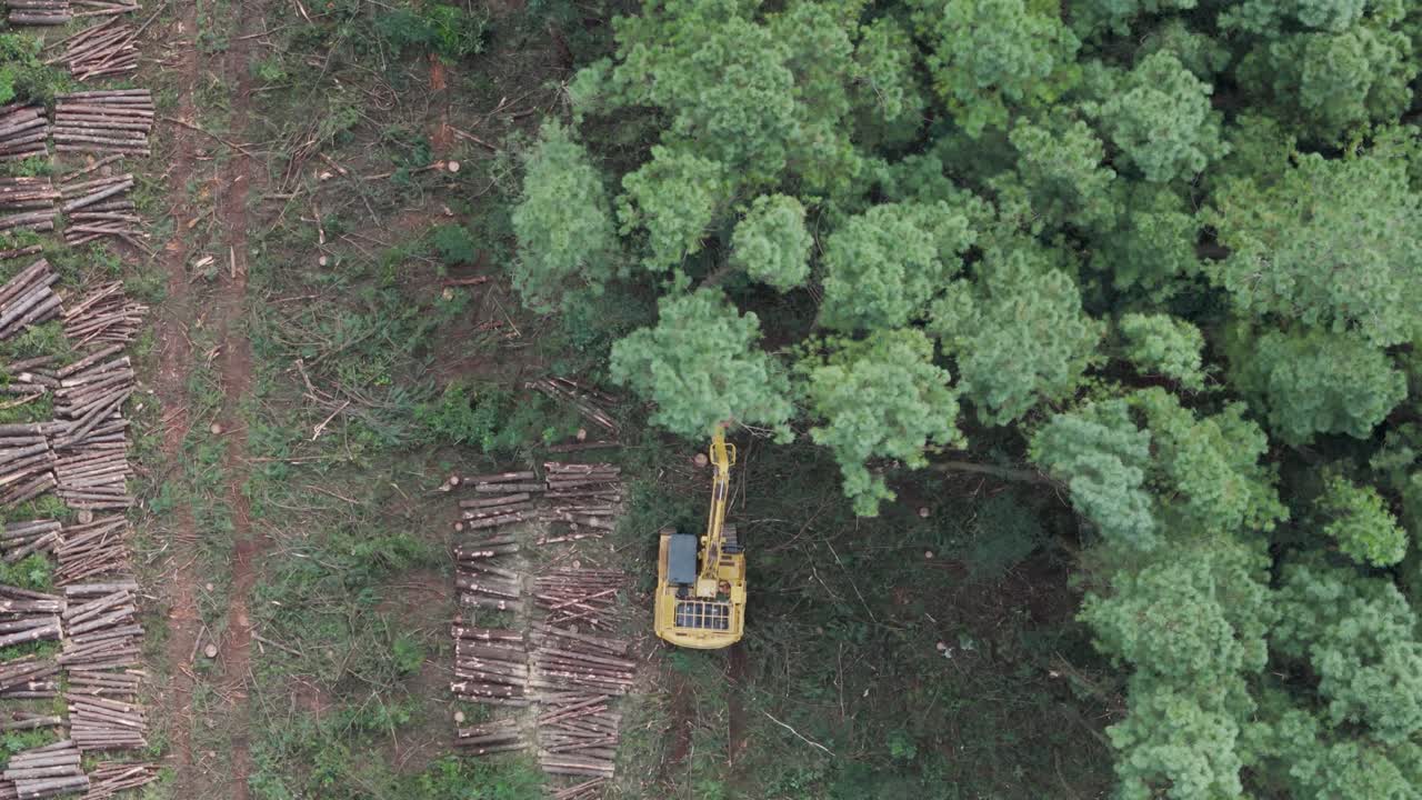 vista aérea de un montón de cortadores de raíles que trabaja en un área de árboles