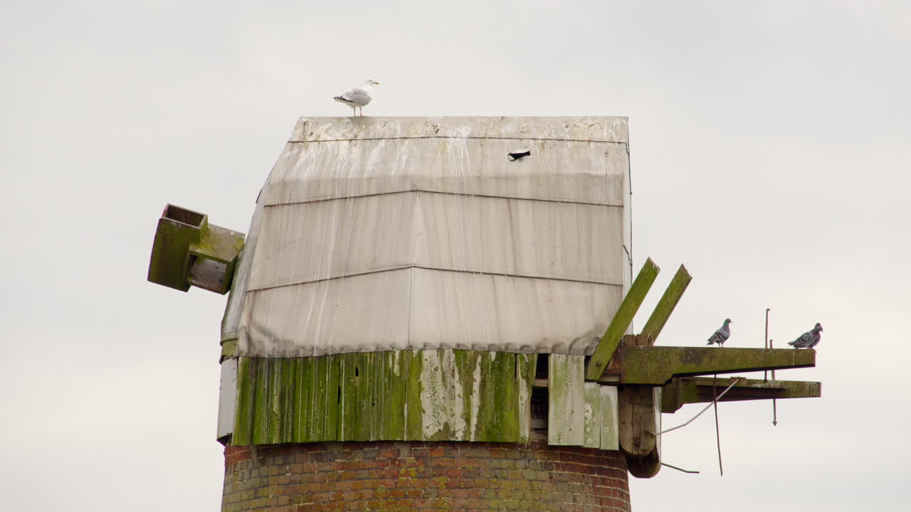 fotografía de cerca de la tapa en un molino de viento abandonado de norfolk broads bomba de agua con pájaros volando alrededor en el río hormiga cerca del puente ludham