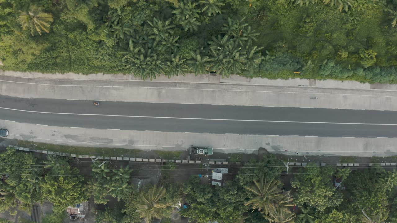 필리핀의 야자수가 있는 아스팔트 도로의 최고 전망 - 공중 드론 샷