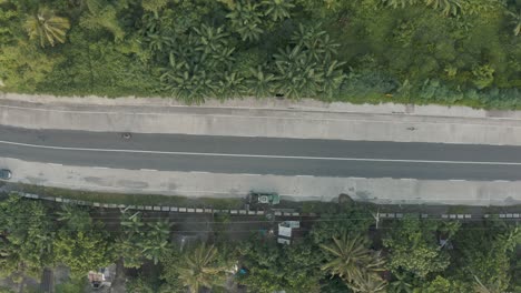 Top-View-Of-An-Asphalt-Road-With-Palm-Trees-In-The-Philippines---Aerial-Drone-Shot