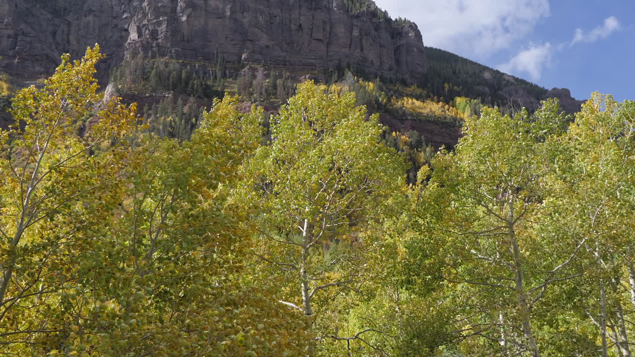 árboles de abeto amarillo con fondo de montaña y cielo azul en telluride, colorado, cámara lenta