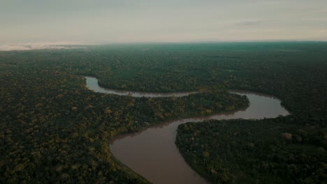 long narrow river of the amazon and vast green rainforest in ecuador - aerial shot