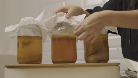 woman points out three stages of scoby bacteria culture growth inside glass jars