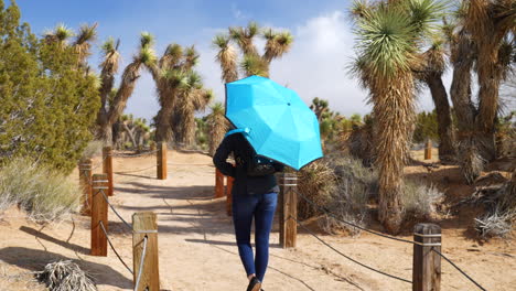 una mujer joven con un paraguas azul caminando por una reserva natural del desierto después de una tormenta de lluvia con árboles de joshua en el camino