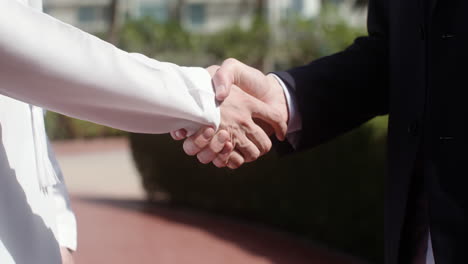 Two people sealing business
