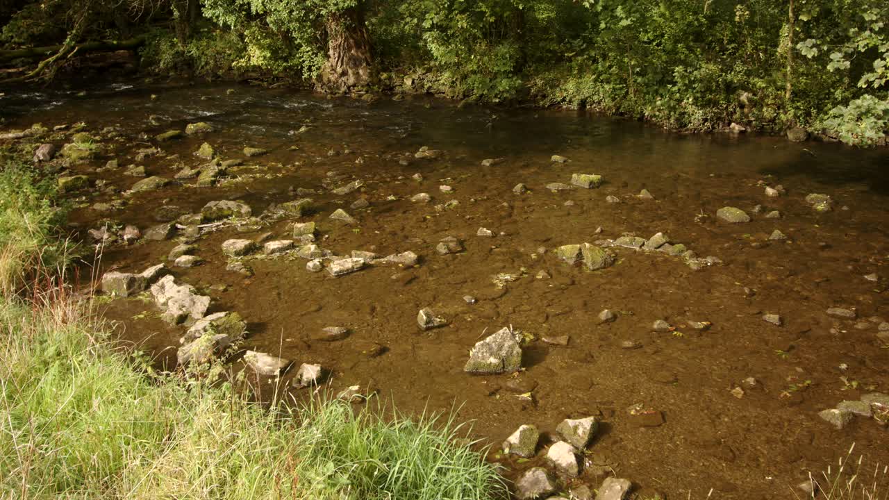mid shot of river dove at milldale