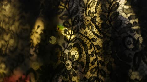 detalle de tela de encaje negro