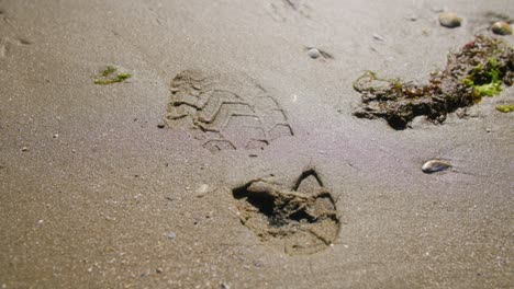 Fußabdruck-An-Einem-Sandstrand-An-Einem-Sonnigen-Tag-In-Zeitlupe