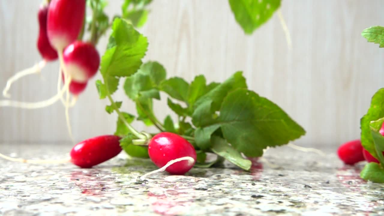 Caída de frutos de un rábano. Cámara lenta