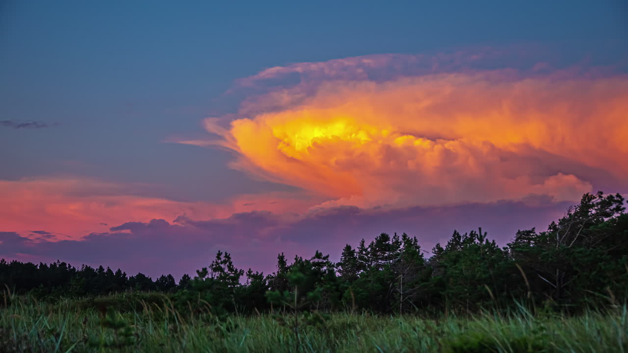 놀라운 황금색 구름이 올라와 숲 위에서 파란 시간에 분홍색 파란색 색으로 변합니다.