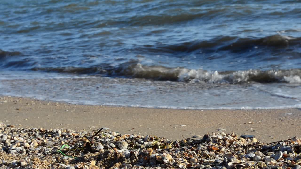 Sea beach. Sea and wave