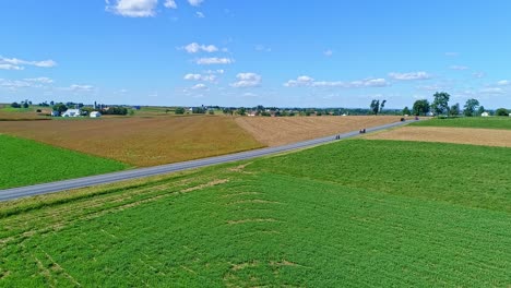 an aerial view of a countryside road with an amish family walking, while a horse and buggy approaches and an automobile passes on a sunny fall day