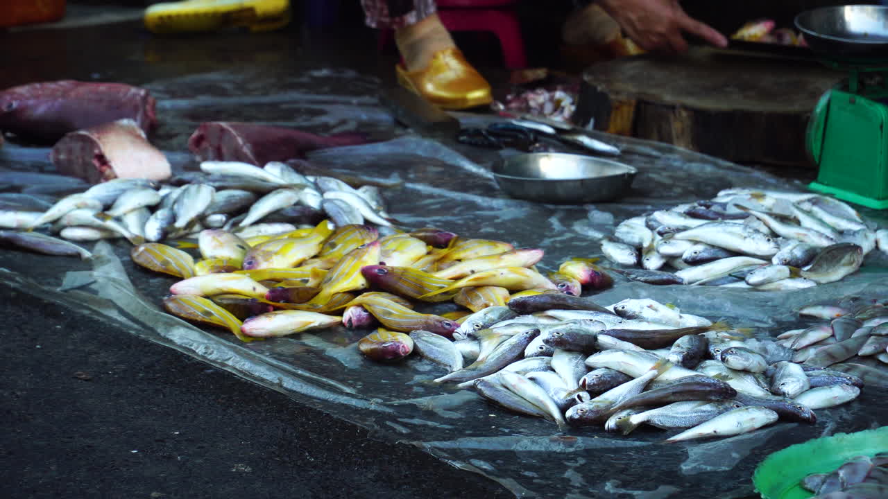 pequeños peces de colores que se venden en el mercado de saigon, ho chi minh, vietnam