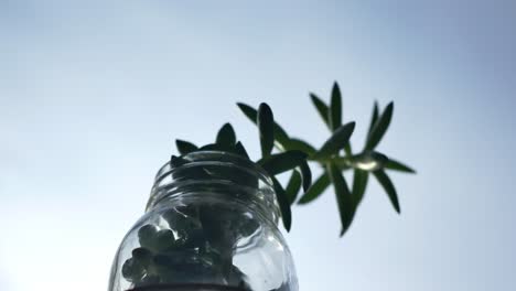 a tall jade plant in a decorated mason jar vase sitting in a windowsill