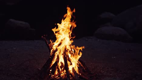 bonfire that burns on a dark background, wood burning flame.