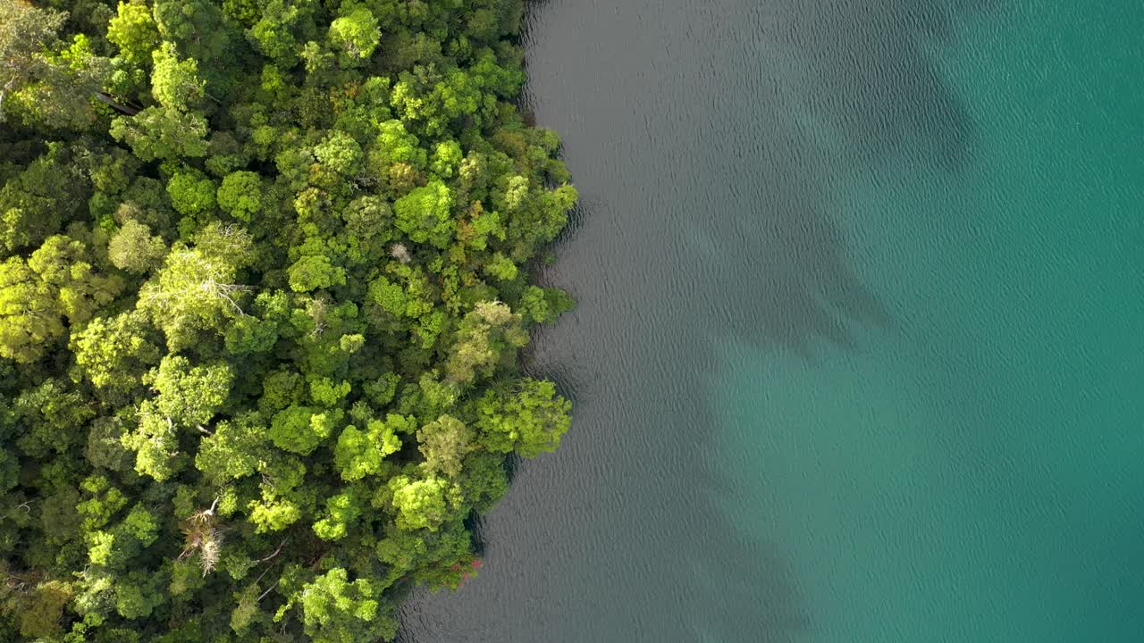 Lake Eacham top down aerial with rainforest and turquoise water, Atherton Tablelands, Queensland, Australia