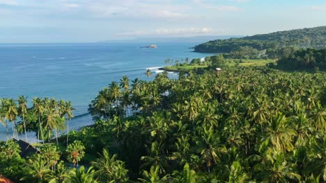 aerial-coastal-landscape-of-blue-ocean-at-jasri-beach-full-of-coconut-tree-field