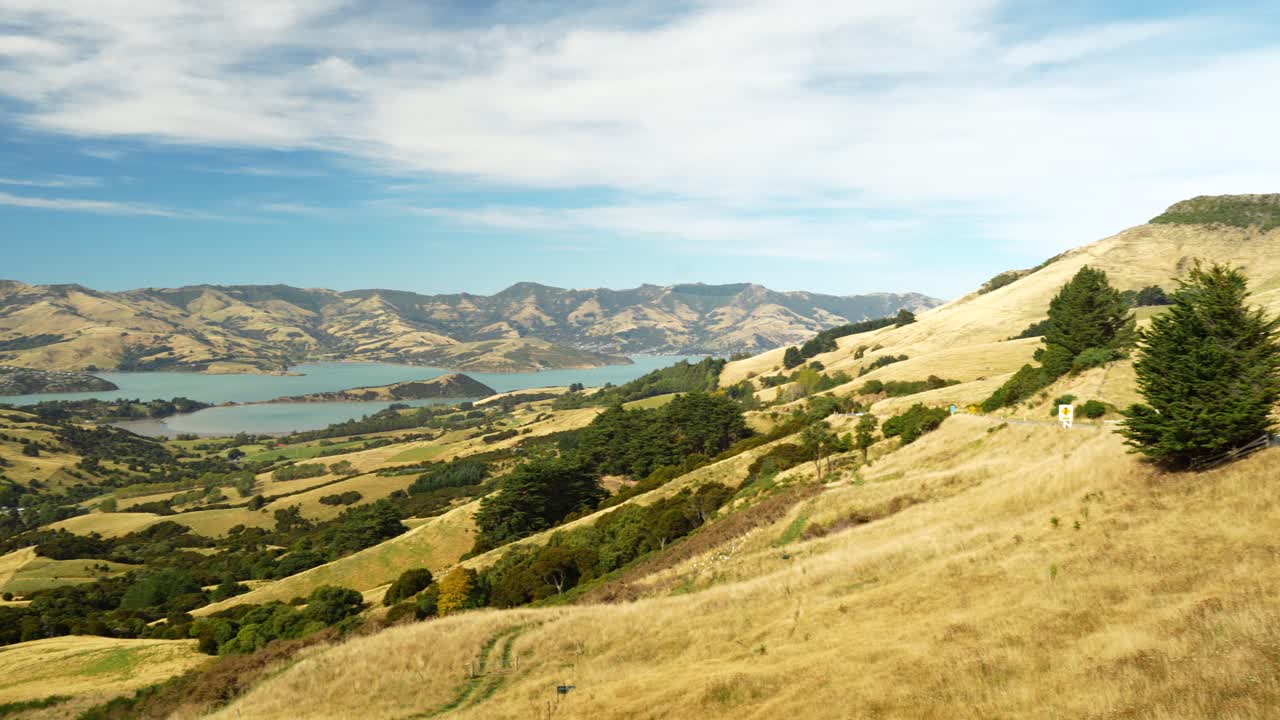 Panning right view, Banks Peninsula’s rolling golden hills, lush greenery, and coastal inlets under a vibrant blue sky. Canterbury landscape near Christchurch, New Zealand
