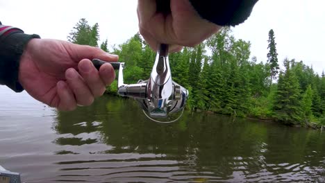 behind close shot of spinning fishing reel with fish on the line, in the whiteshell provincial park, point du bois near winnipeg manitoba canada