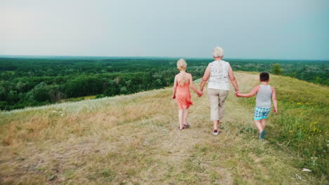 Grandmother-For-The-Hands-With-Two-Grandchildren---A-Girl-And-A-Boy-Walks-Through-The-Lively-Rural-Countryside