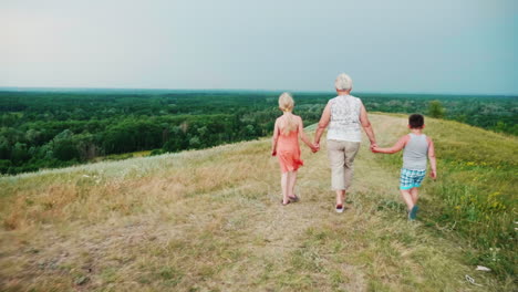 grandmother for the hands with two grandchildren - a girl and a boy walks through the lively rural countryside