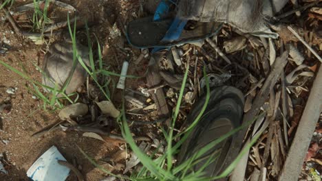 A-cluttered-ground-scene-with-discarded-items,-plants,-and-trash