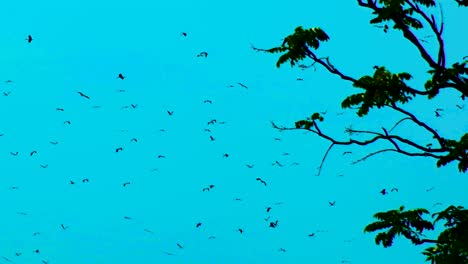 Horrorthema,-Schwarm-Nervöser-Vögel,-Die-Auf-Dunkelblauem-Hintergrund-Mit-Baum-Fliegen