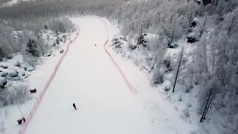 winter ski slope in snowy mountain forest