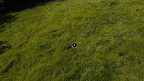 niños pequeños jugando y bromeando alegremente en los vibrantes céspedes verdes
