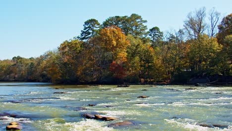 Colorful-autumn-forest-on-white-water-river-shore-in-bright-sunlight