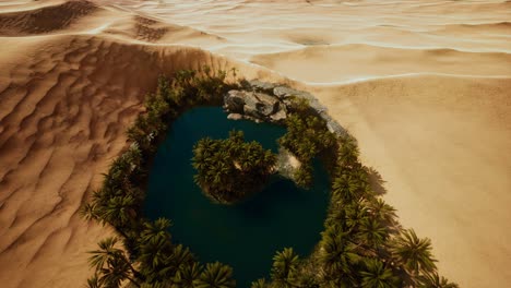 top-down-aerial-view-of-oasis-in-desert