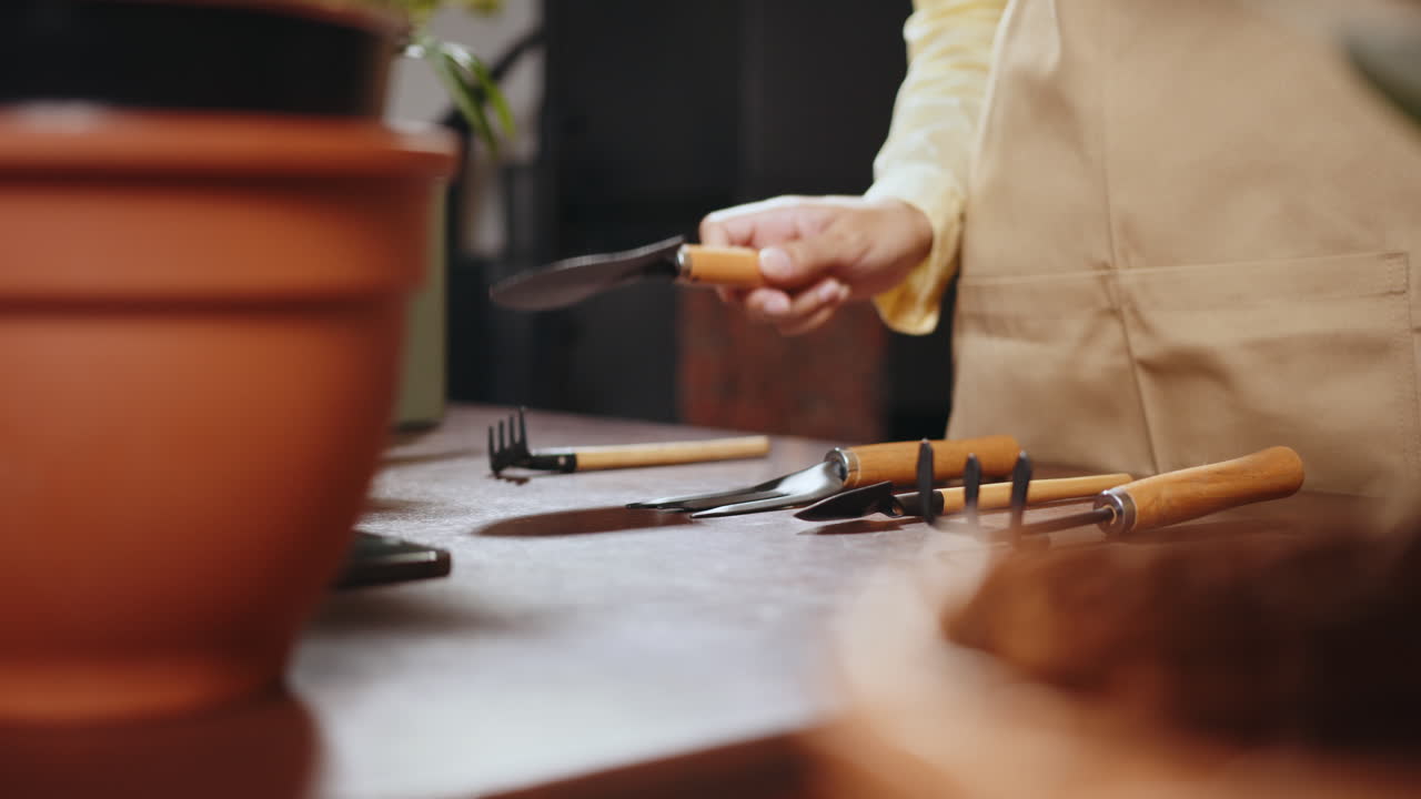 herramientas de jardinería y plantas en maceta