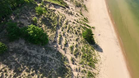 Aerial-pass-along-the-lush-sandy-shore