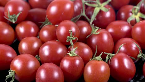 primer plano y disparo detallado de un montón de tomates frescos