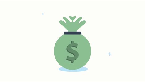 financial and economy animation with money bag