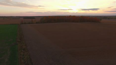 Vista-Aérea-De-Campos-De-Maíz-Abiertos-Con-Tonos-Marrones-Dorados-Mientras-El-Dron-Se-Mueve-Hacia-Un-Grupo-De-árboles-Altos-Cubiertos-De-Hojas-Con-Todo-El-Color-Del-Otoño