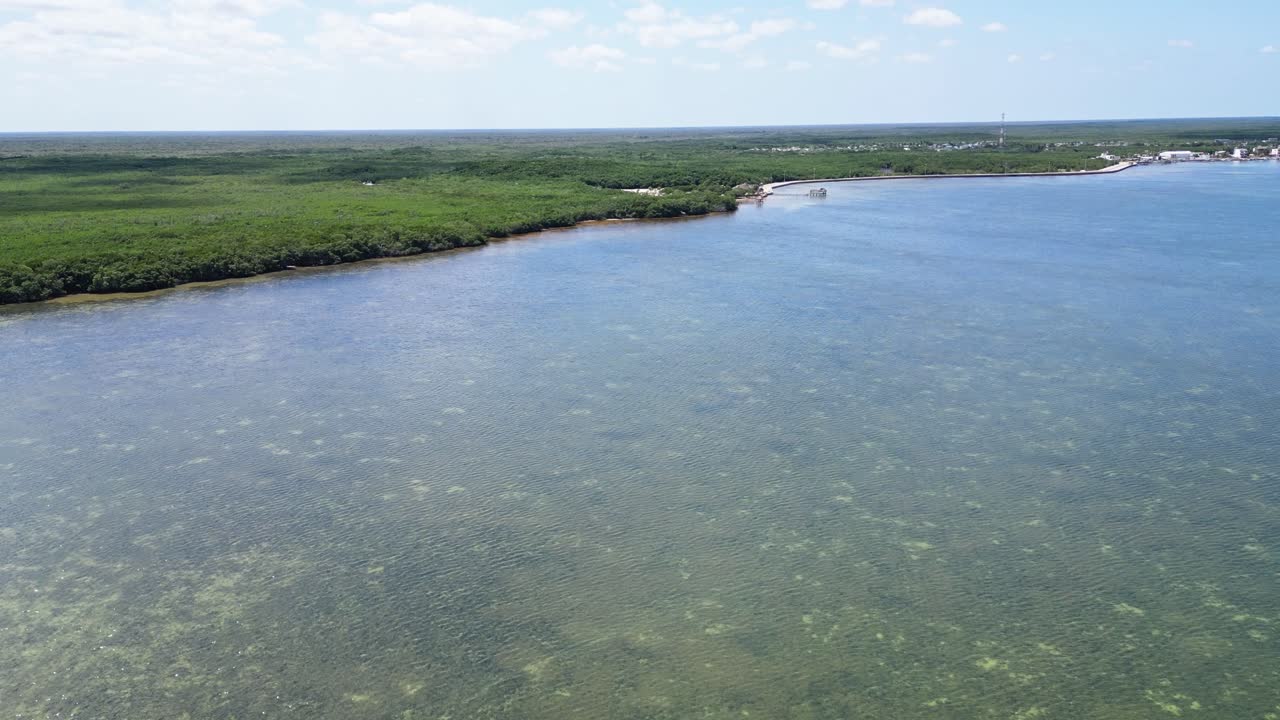 Calm aerial view of clear waters and lush green coastline in Rio Lagartos, Yucatán