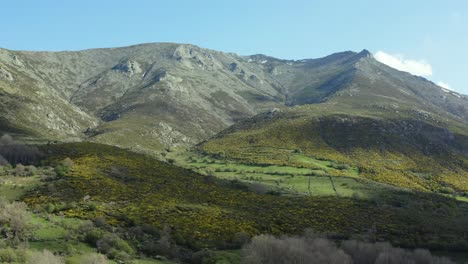 Vuelo-Con-Dron-Visualizando-Un-Tremendo-Sistema-De-Montañas-Hay-Prados-Verdes-Y-Gran-Cantidad-De-Una-Planta-Amarilla-De-Alta-Montaña-Vemos-Las-Sombras-De-Las-Nubes-Navarrevisca-Avila-España