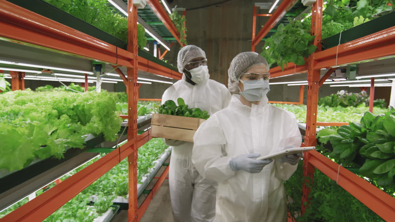 Agroengineers Working In Vertical Farm