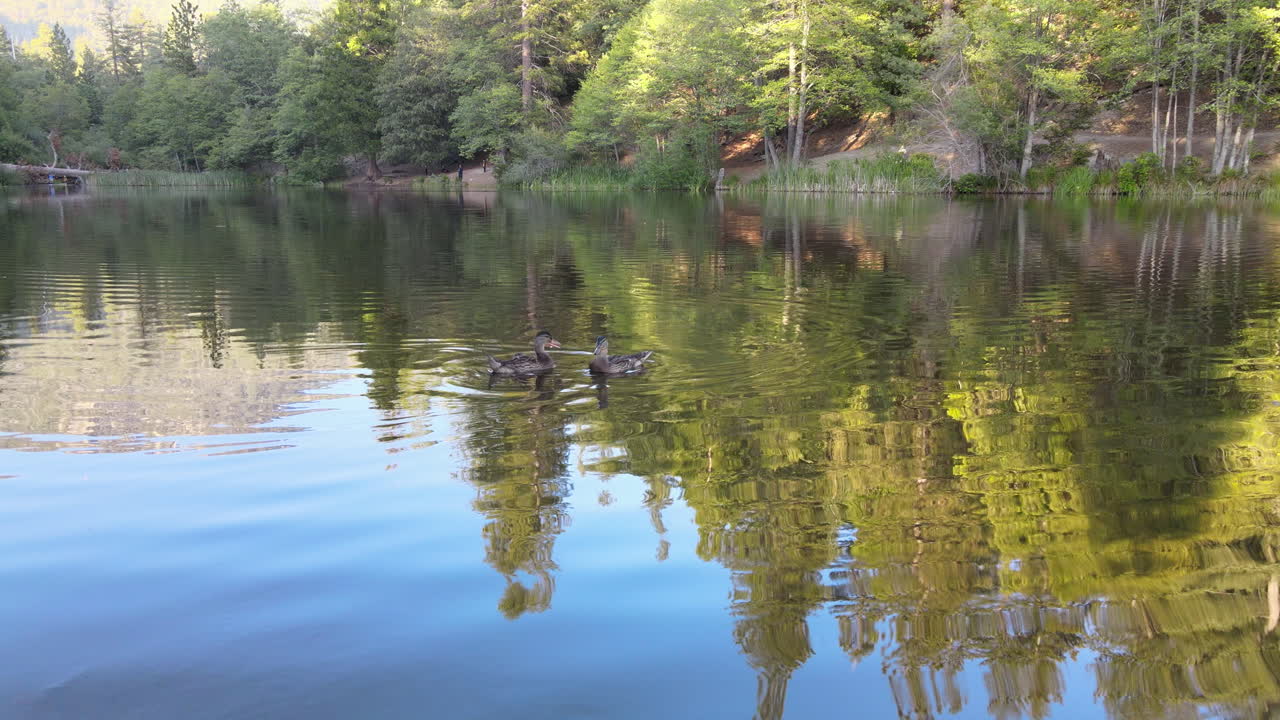 Pohled z dronu na zelené jezero v Kalifornii