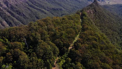 Flying-Over-The-Lush-Green-Forest-At-Lamington-National-Park---Mountain-Landscapes-In-Summer---Gold-Coast-Hinterland,-QLD,-Australia