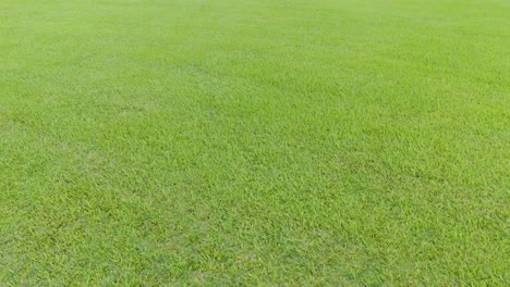 aerial view of expansive green grass field